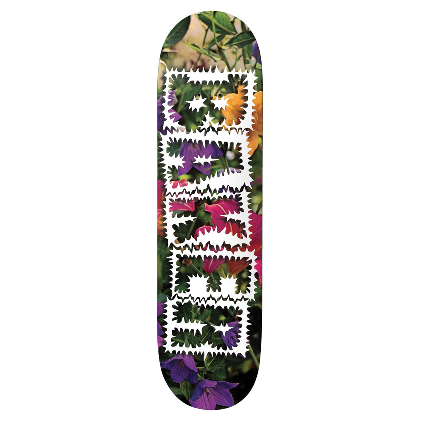 Baker Reynolds Library Card Deck - 8.0