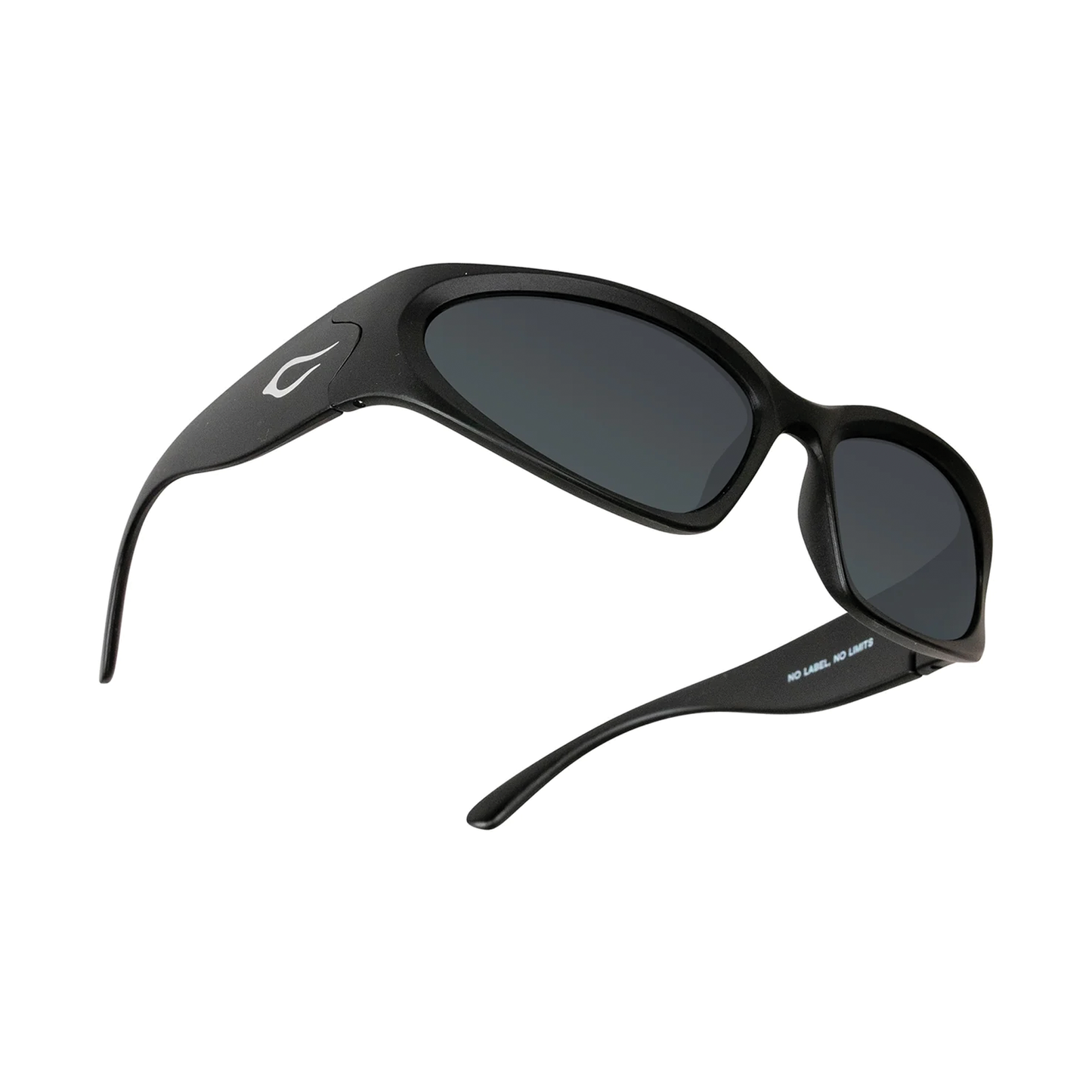 Cassette Limewire Sunglasses - Black / Smoke Lens