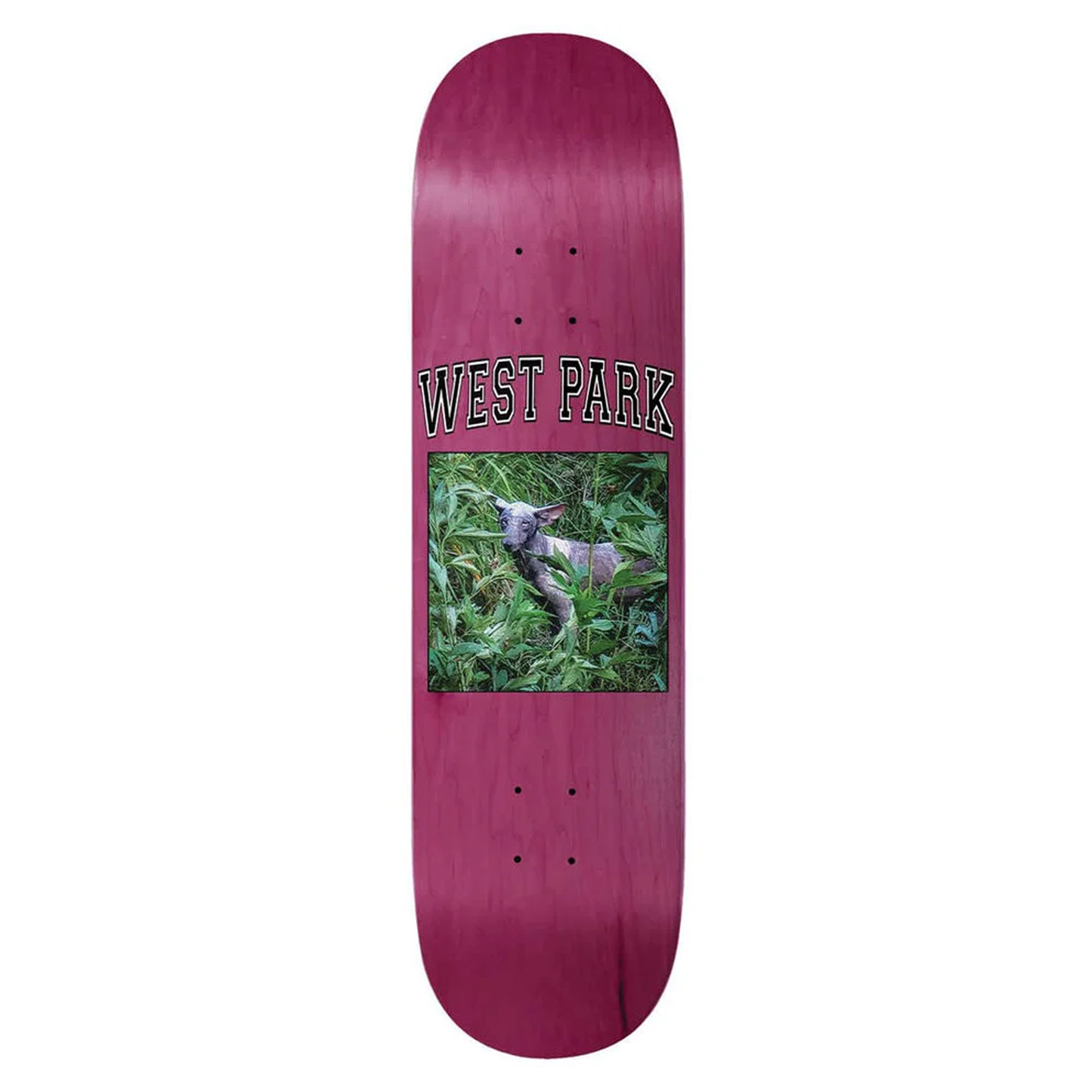 Limosine Angel Deck - Assorted Sizes