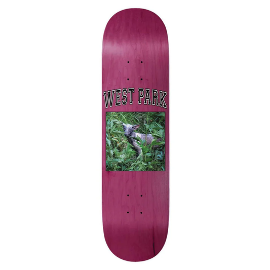 Limosine Angel Deck - Assorted Sizes