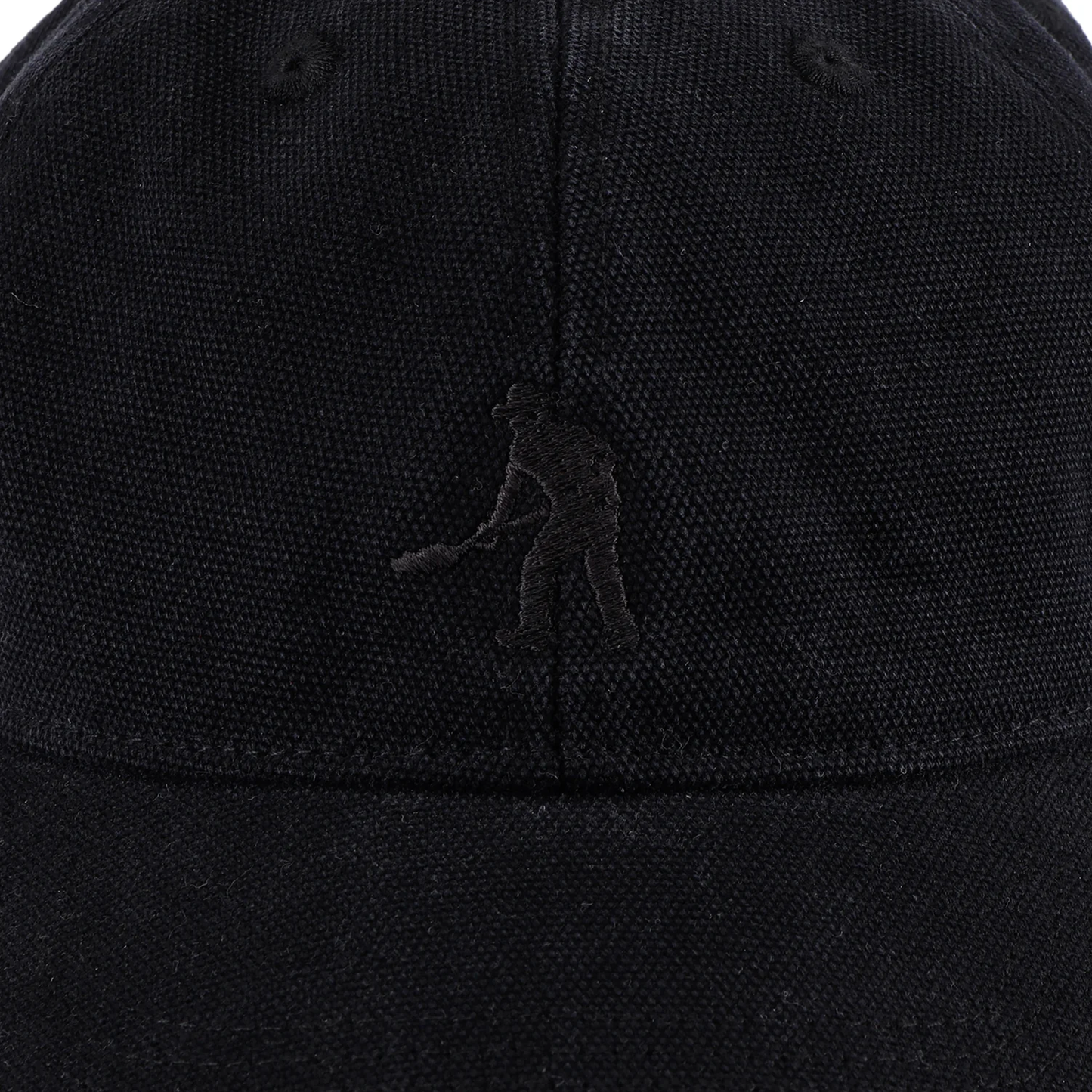 Passport Solid Leagues Cap - Washed Black
