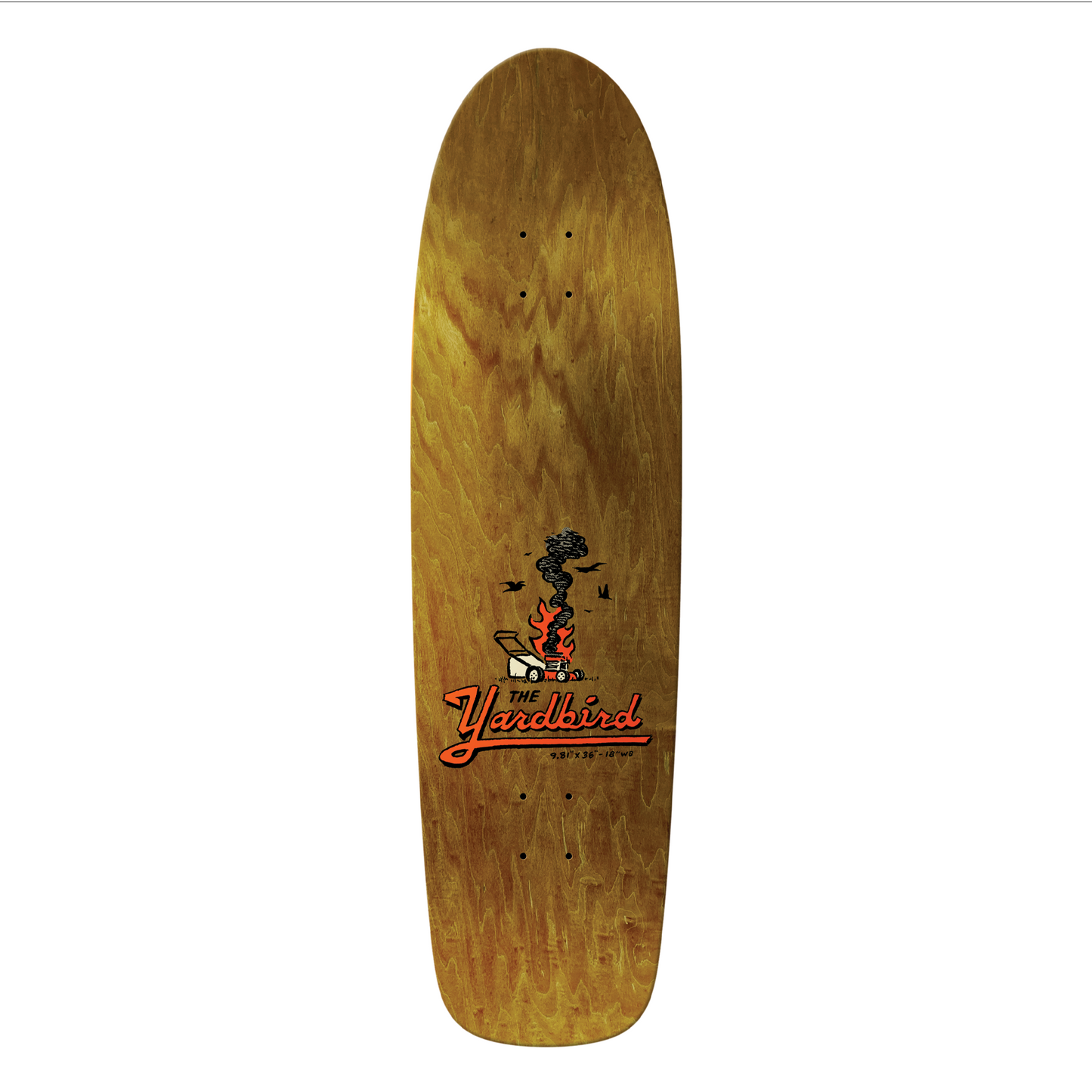 Anti Hero Jalopi Yardbird Deck - 9.81