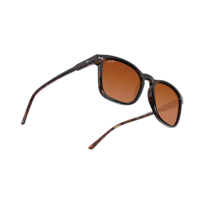 Cassette Playlist Sunglasses - Splatter Tortoise / Polarized Brown Lens