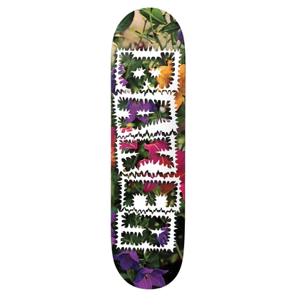 Baker Reynolds Library Card Deck - 8.0