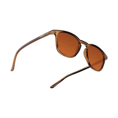 Cassette Standard Sunglasses - Tea / Brown Lens