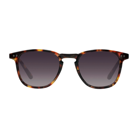 Cassette Standard Sunglasses - Whiskey Tortoise / Smoke Gradient Lens