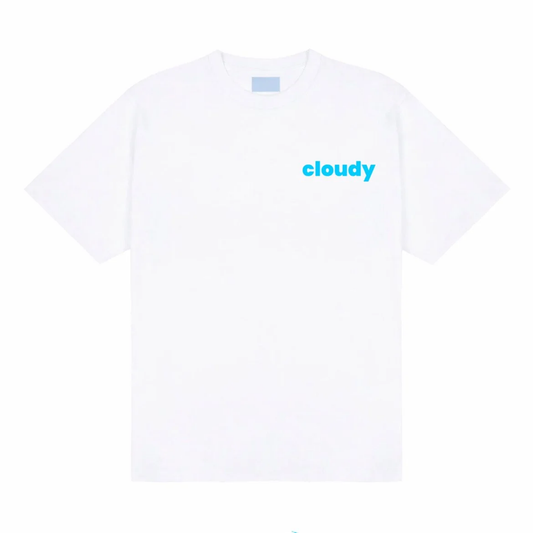 Cloudy Provo Locals Tee - White