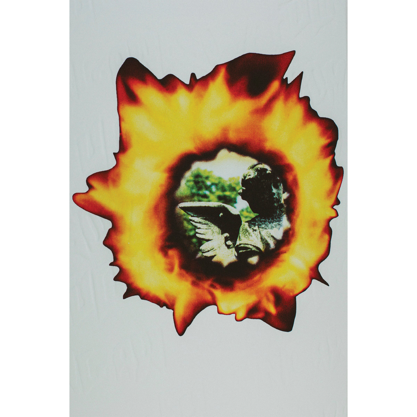 FA Angel Burn Deck - 8.5