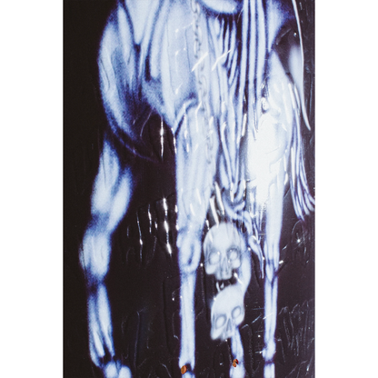 FA Elijah Berle Muerte Deck - 8.5