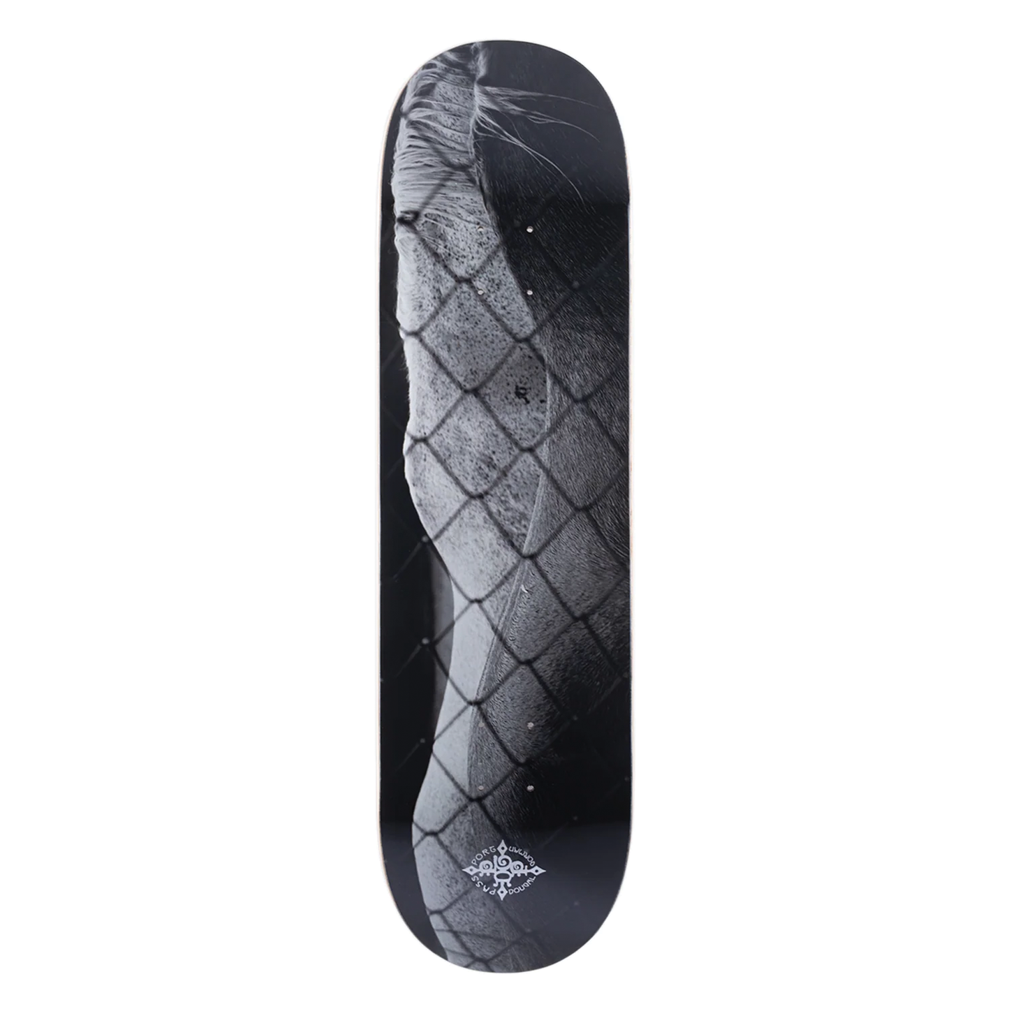 Passport Steed Deck - 8.5