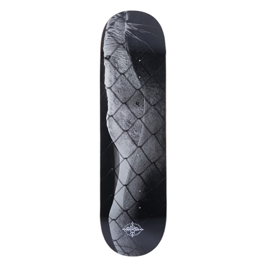 Passport Steed Deck - 8.5