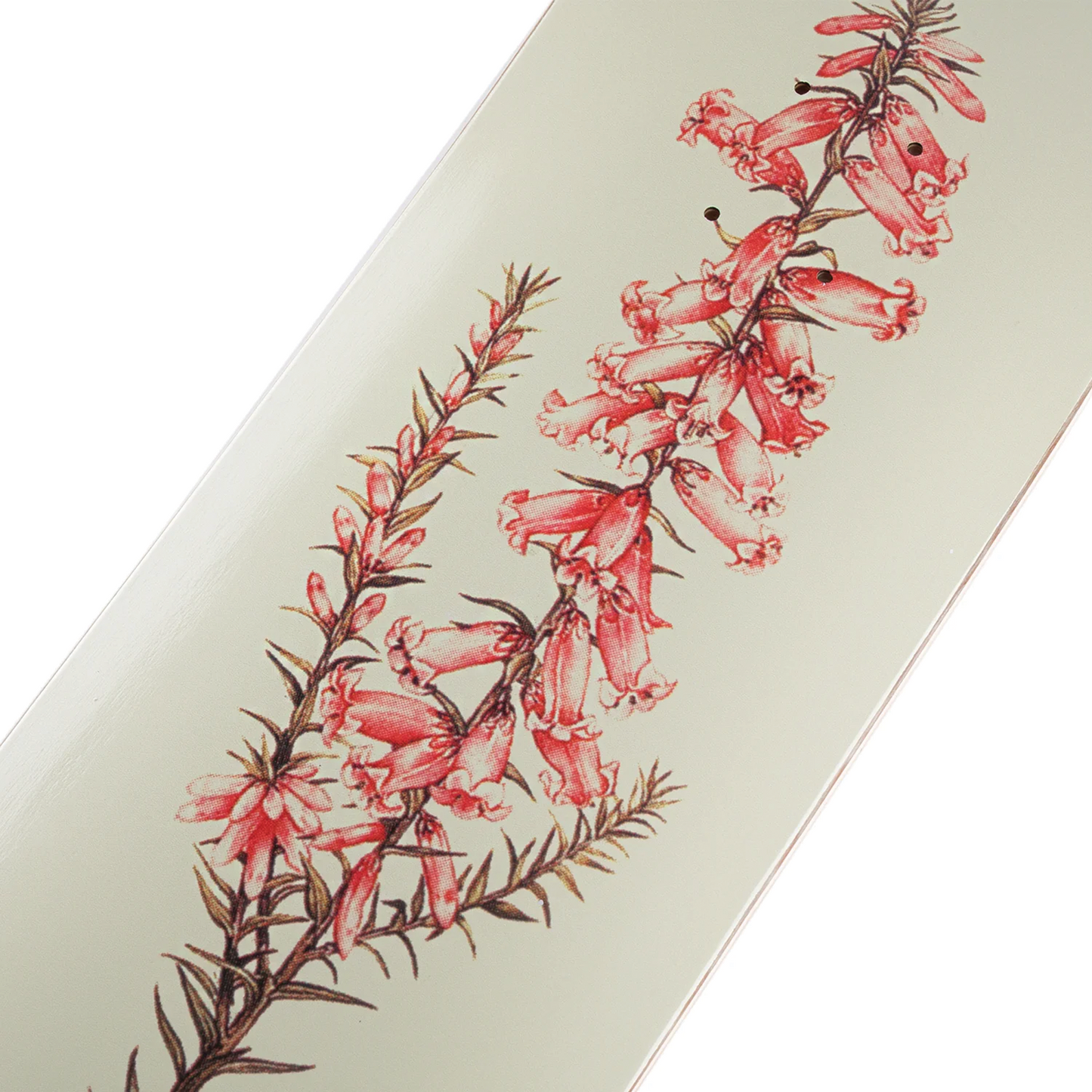 Passport Callum Paul Pink Heath Deck - 8.5