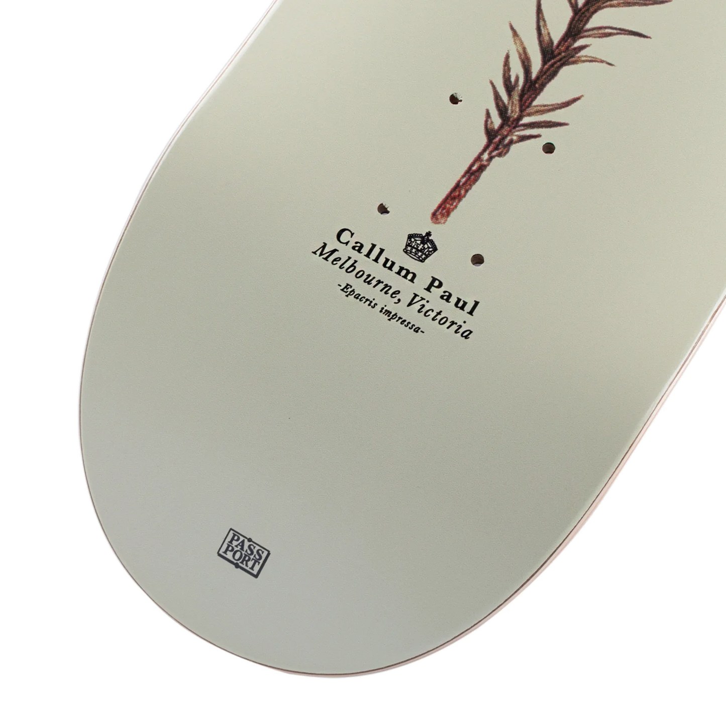 Passport Callum Paul Pink Heath Deck - 8.5