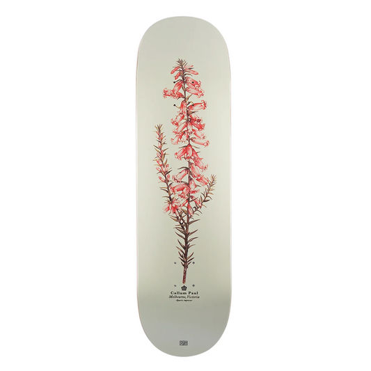 Passport Callum Paul Pink Heath Deck - 8.5