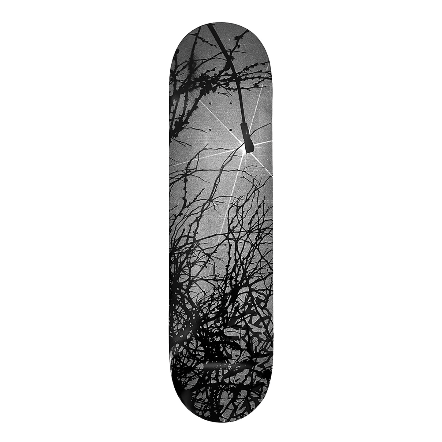 Late Nite Stars Roots Deck - 8.5
